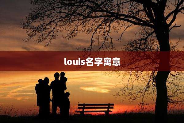 louis名字寓意