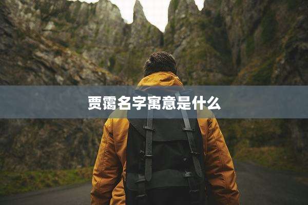 贾霭名字寓意是什么