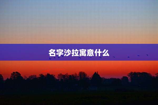 名字沙拉寓意什么