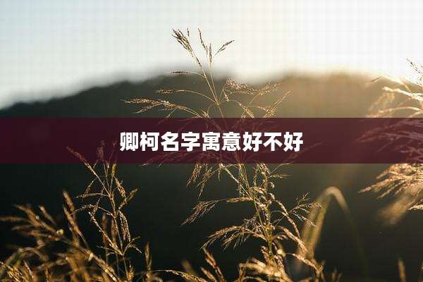 卿柯名字寓意好不好