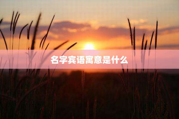 名字宾语寓意是什么