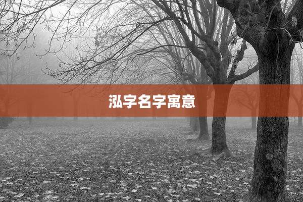 泓字名字寓意