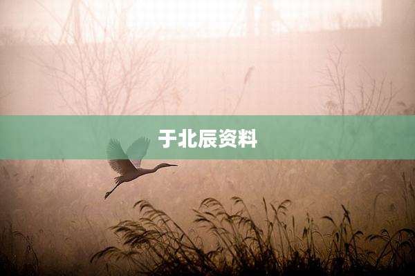 于北辰资料