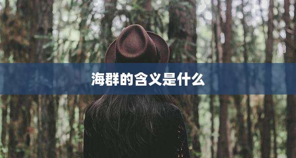 海群的含义是什么