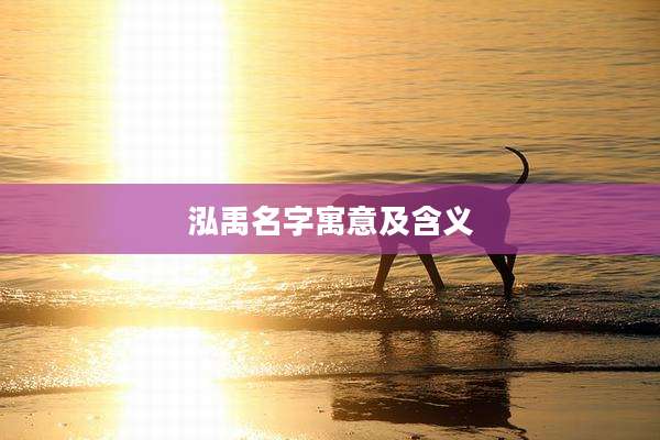 泓禹名字寓意及含义