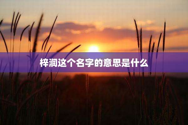 梓润这个名字的意思是什么