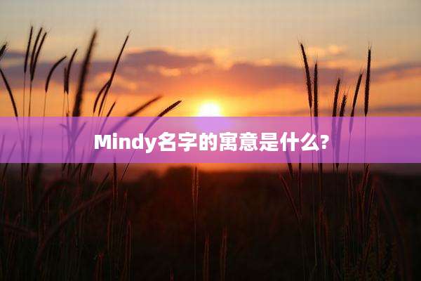 Mindy名字的寓意是什么?