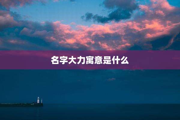 名字大力寓意是什么