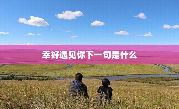 幸好遇见你下一句是什么