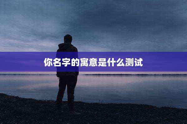 你名字的寓意是什么测试