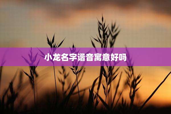 小龙名字谐音寓意好吗