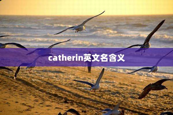 catherin英文名含义