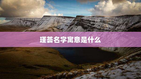 瑾荟名字寓意是什么