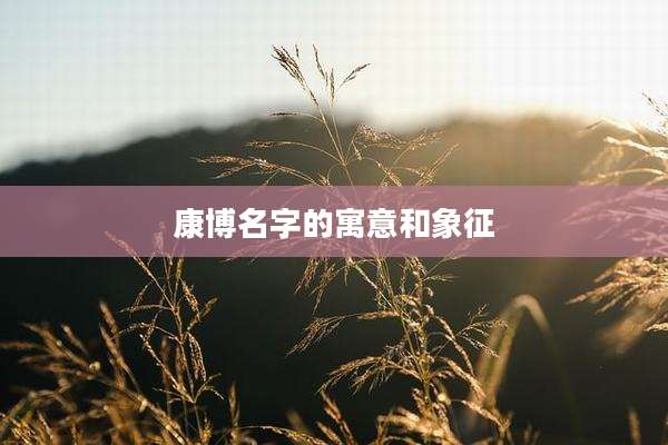 康博名字的寓意和象征