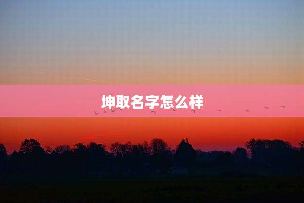 坤取名字怎么样