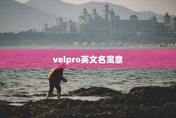 velpro英文名寓意