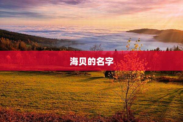 海贝的名字