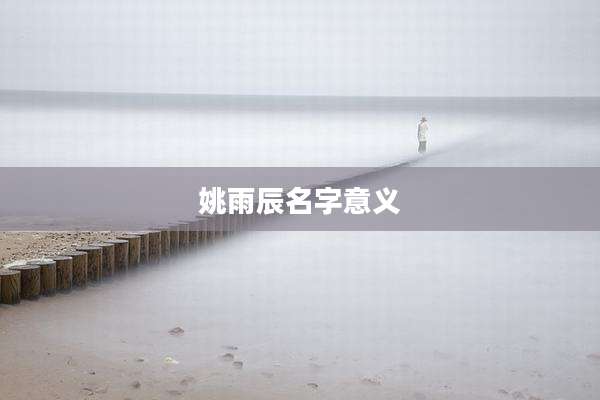 姚雨辰名字意义