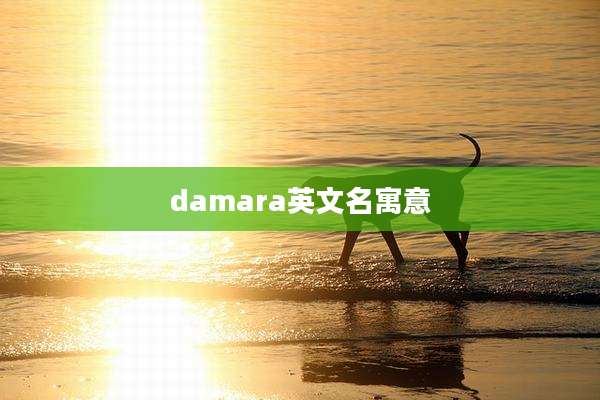 damara英文名寓意