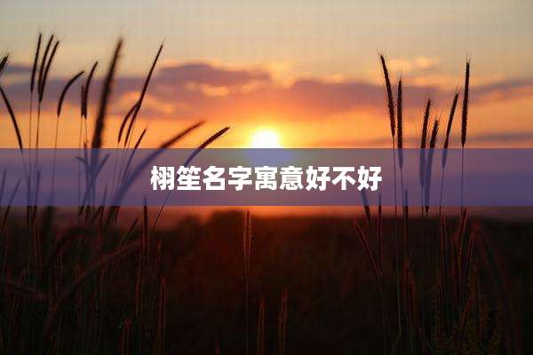 栩笙名字寓意好不好