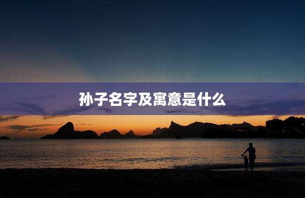 孙子名字及寓意是什么