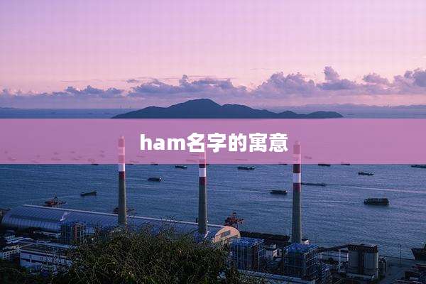 ham名字的寓意