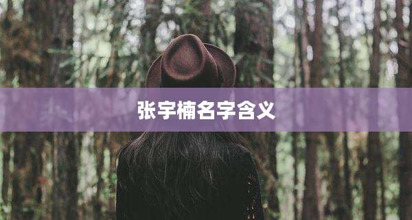张宇楠名字含义