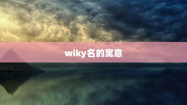 wiky名的寓意