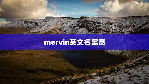 mervin英文名寓意