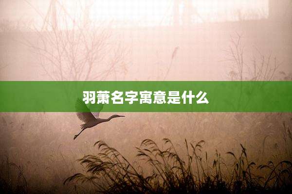 羽萧名字寓意是什么
