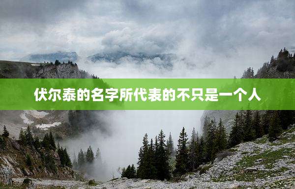 伏尔泰的名字所代表的不只是一个人