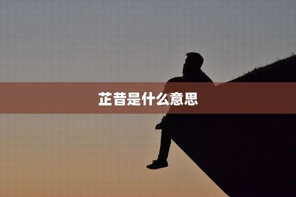 芷昔是什么意思