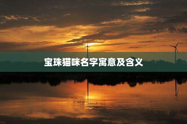 宝珠猫咪名字寓意及含义
