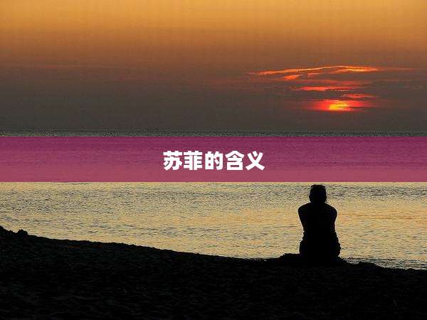 苏菲的含义