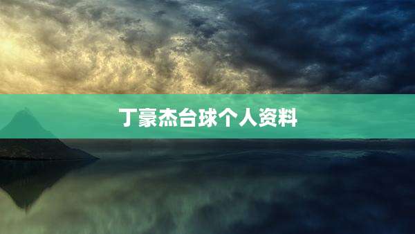 丁豪杰台球个人资料