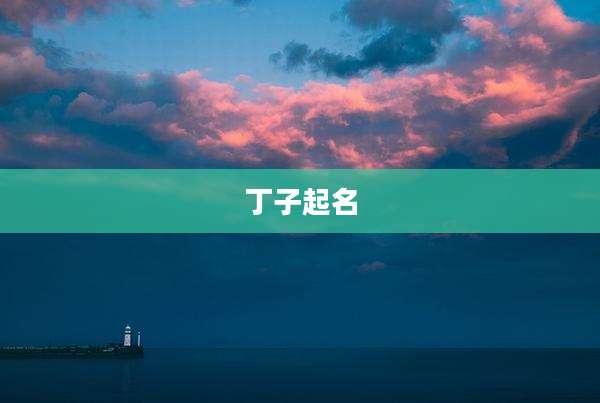 丁子起名