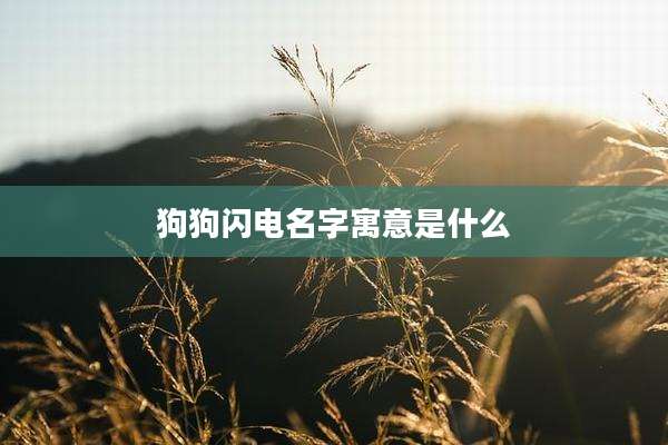 狗狗闪电名字寓意是什么