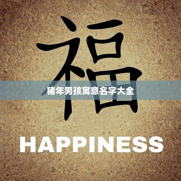 猪年男孩寓意名字大全