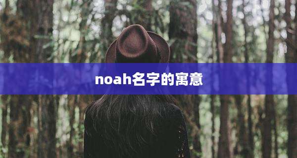 noah名字的寓意