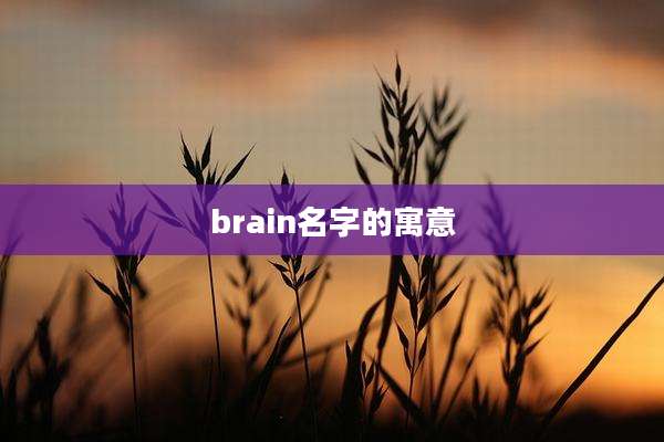 brain名字的寓意