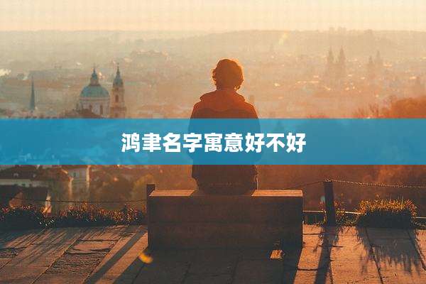 鸿聿名字寓意好不好