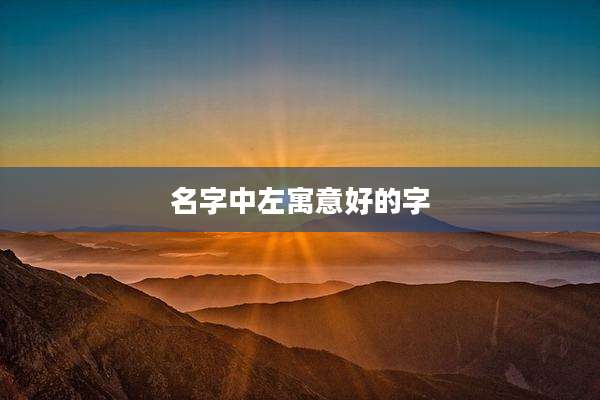 名字中左寓意好的字