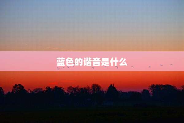 蓝色的谐音是什么