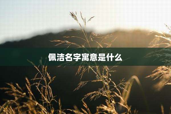 佩洁名字寓意是什么