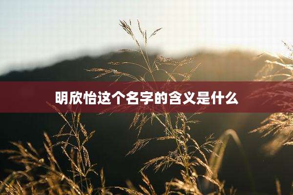明欣怡这个名字的含义是什么