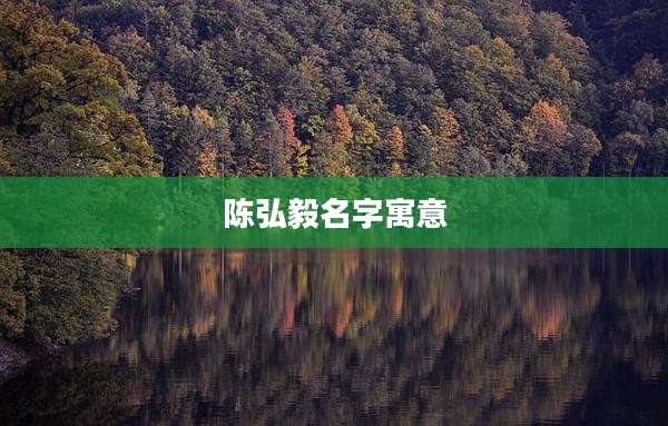 陈弘毅名字寓意