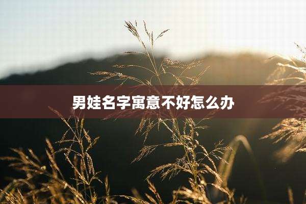 男娃名字寓意不好怎么办