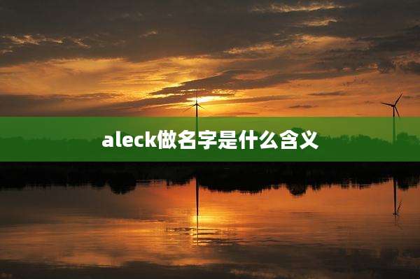 aleck做名字是什么含义