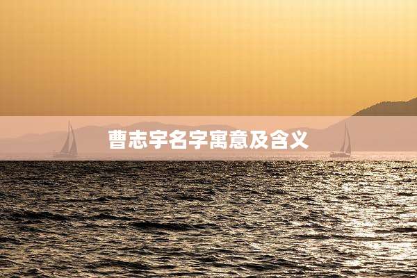 曹志宇名字寓意及含义