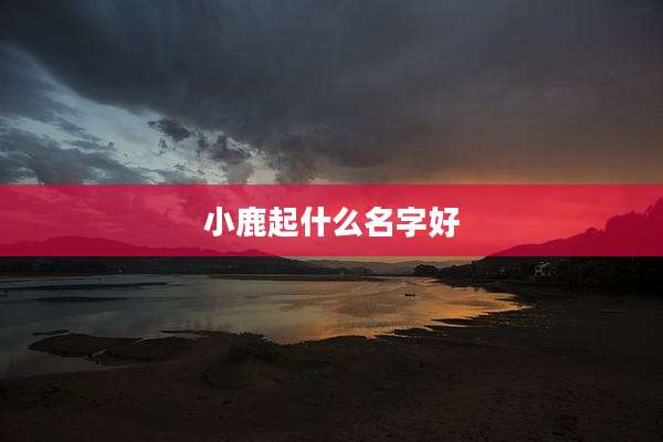 小鹿起什么名字好